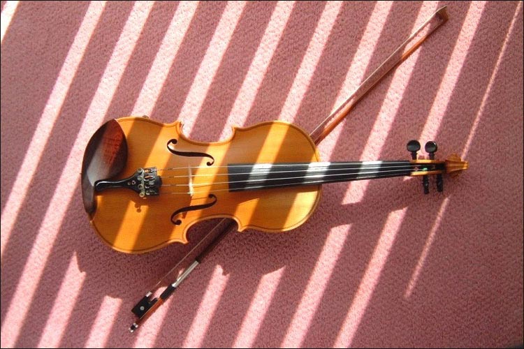 Miscellaneous Things in Niagara