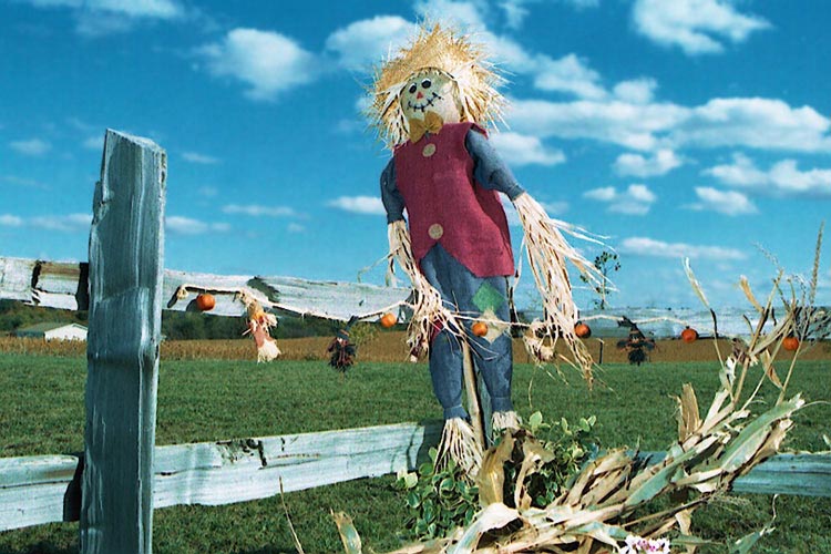 Miscellaneous Things in Niagara