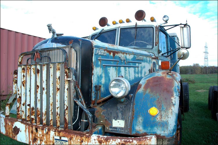 Miscellaneous Things in Niagara