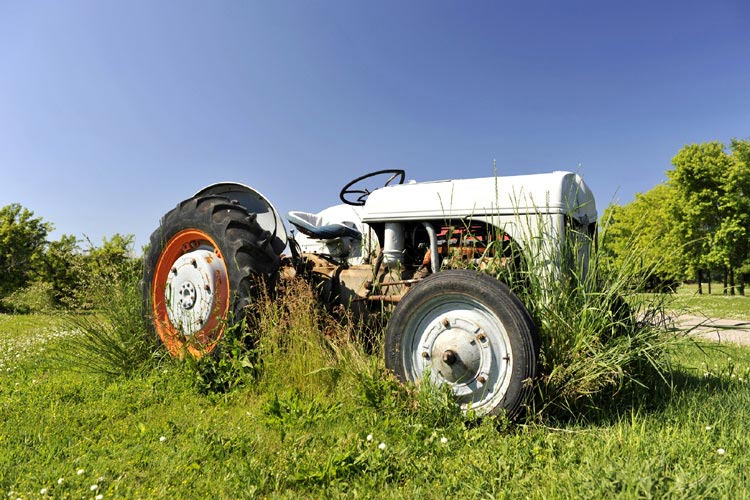 Miscellaneous Things in Niagara