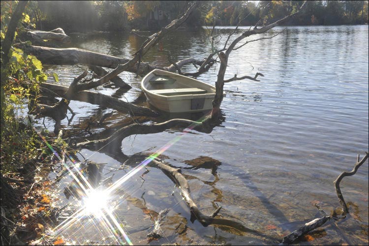 Miscellaneous Things in Niagara