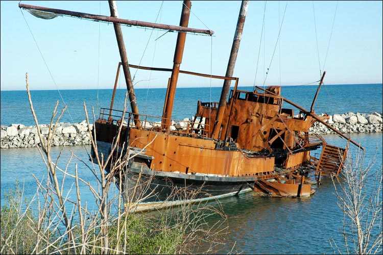 Miscellaneous Things in Niagara