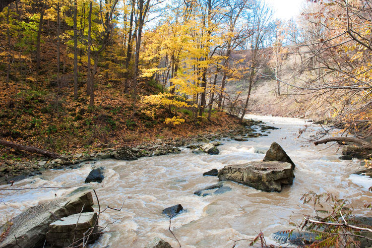 Balls Falls