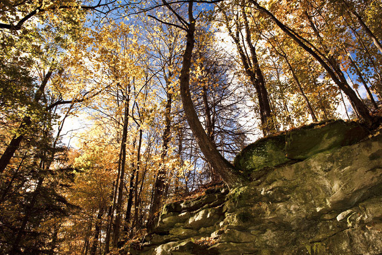 Balls Falls