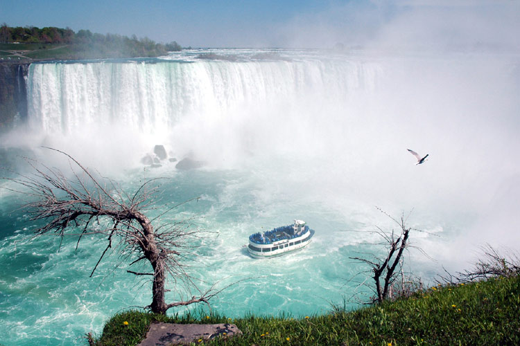 Niagara Falls