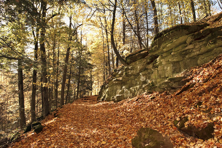 Bruce Trail