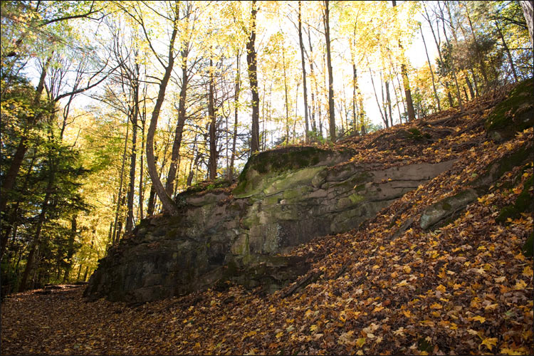 Bruce Trail