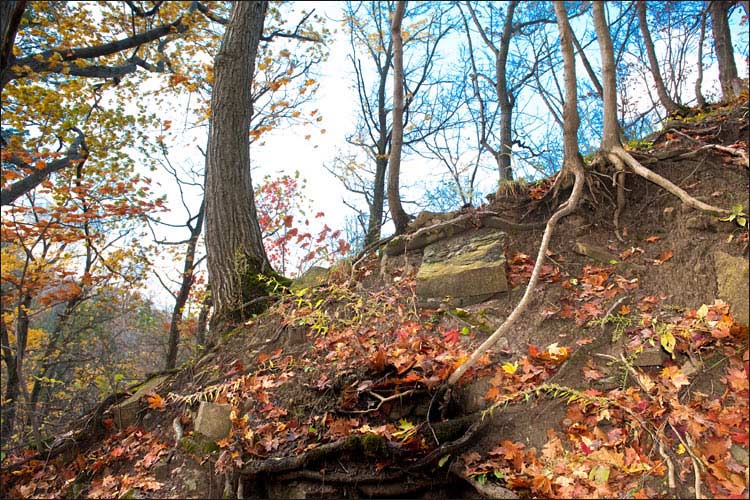 Bruce Trail