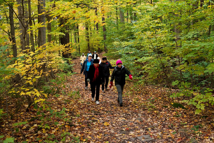 Bruce Trail