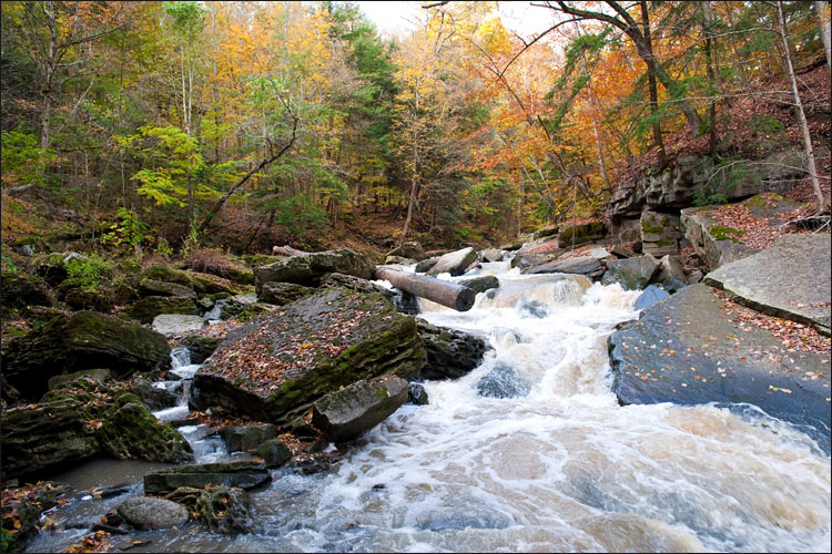 Bruce Trail