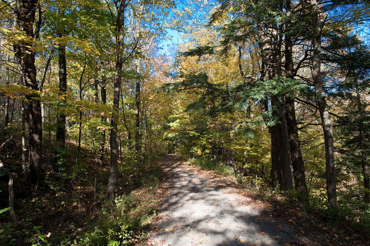 Bruce Trail