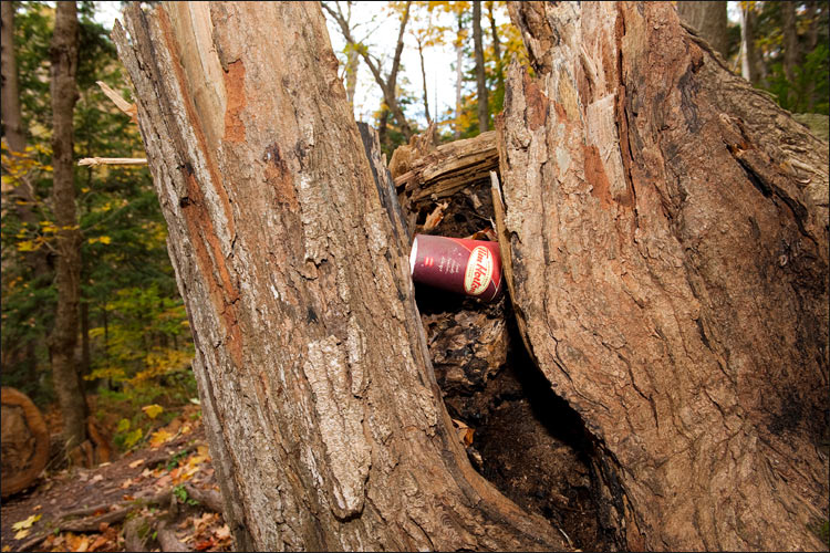 Bruce Trail