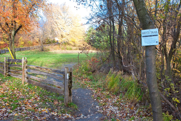 Bruce Trail