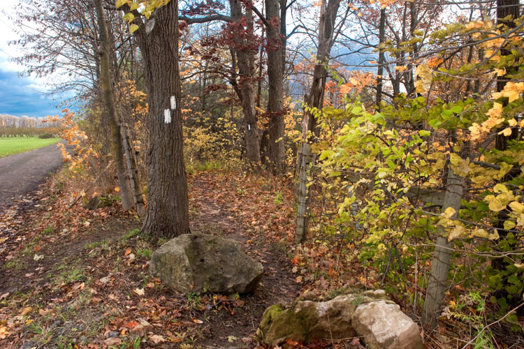 Bruce Trail