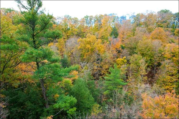 Niagara Landscapes