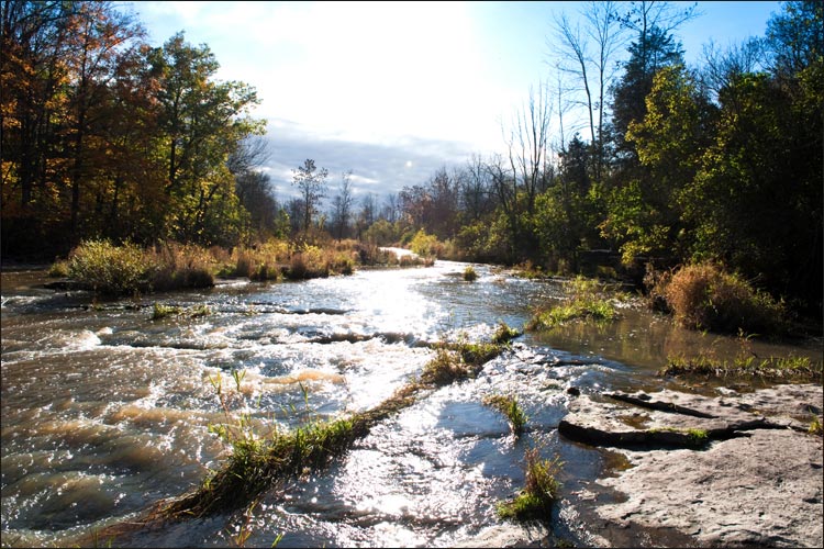 Niagara Landscapes