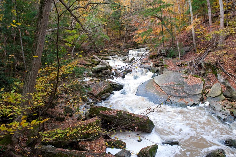 Niagara Landscapes