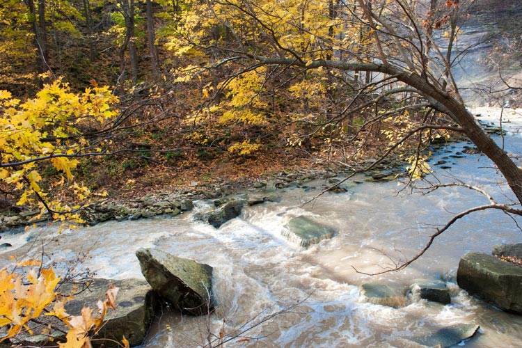 Niagara Landscapes