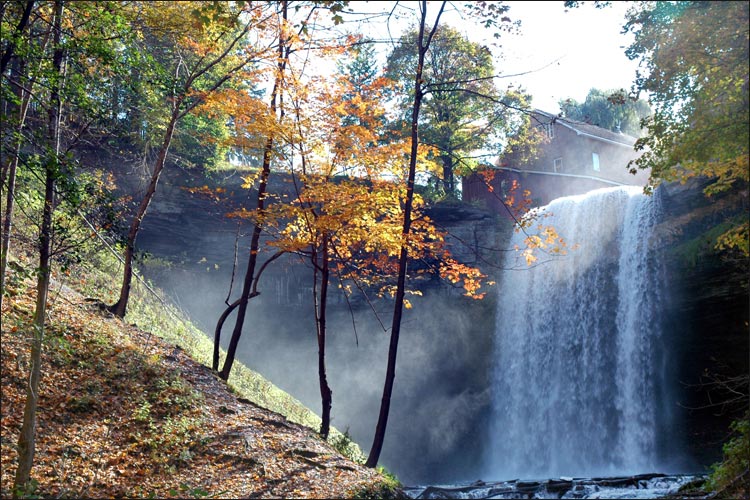 Niagara Landscapes