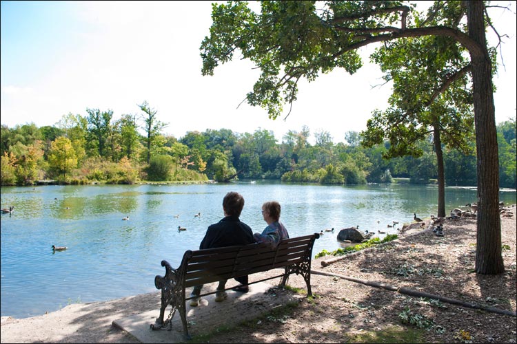 Niagara Landscapes