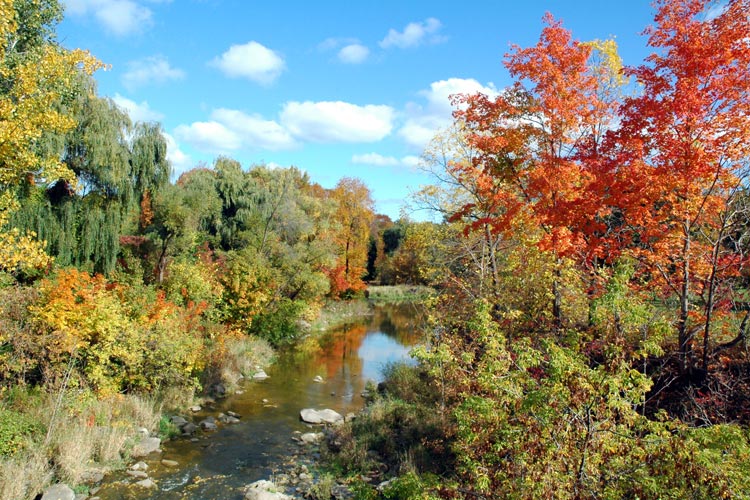 Niagara Landscapes