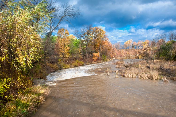 Niagara Landscapes