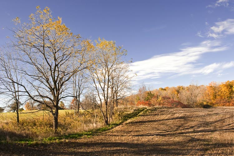 Niagara Landscapes