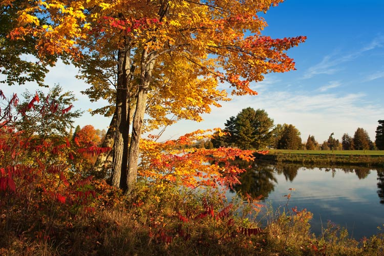 Autumn in Niagara