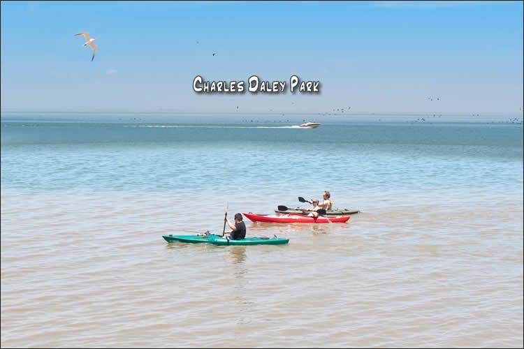 Signs of Spring Niagara