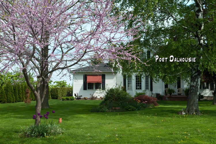 Signs of Spring Niagara