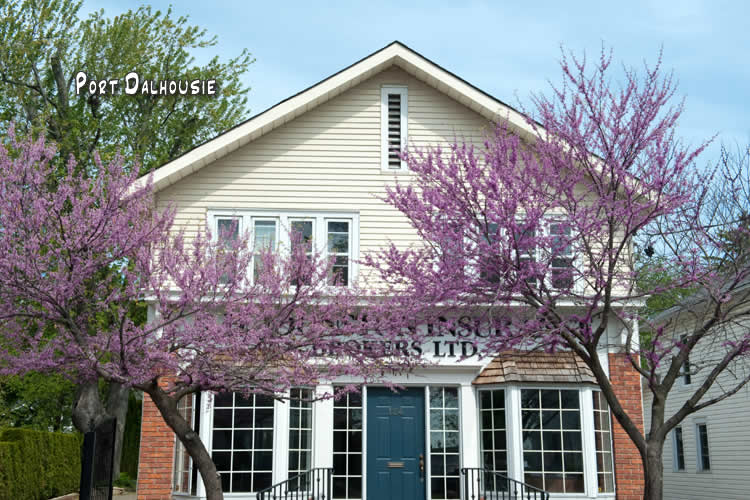 Signs of Spring Niagara