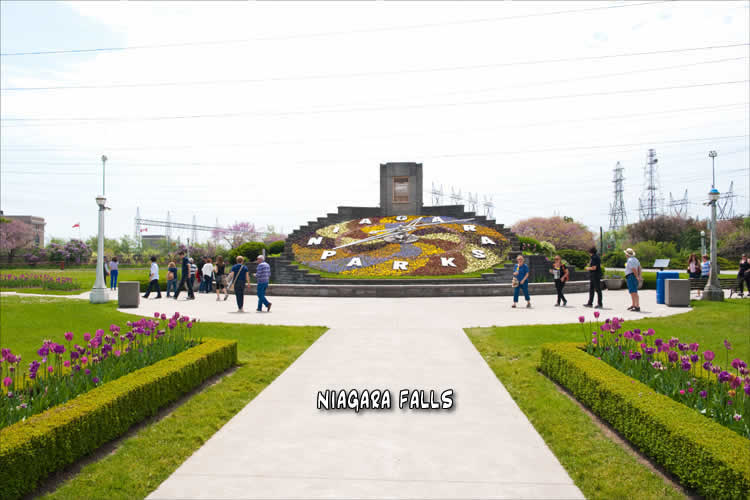 Signs of Spring Niagara