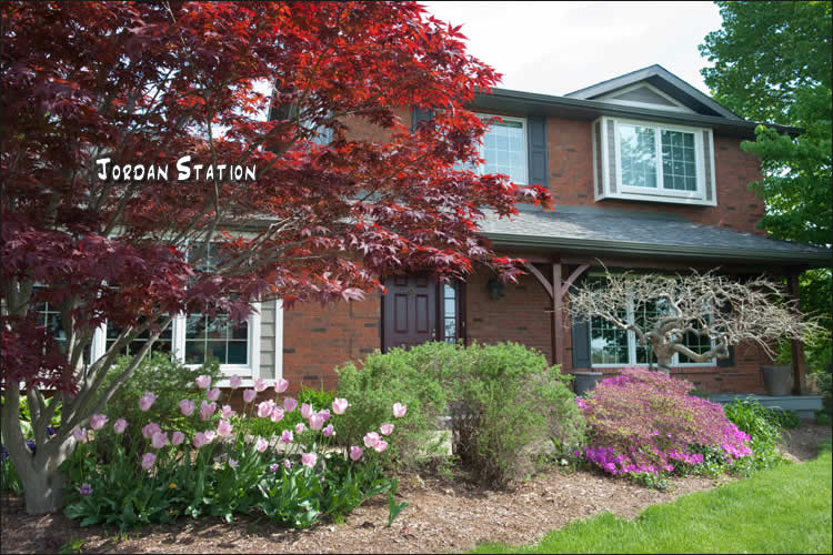 Signs of Spring Niagara