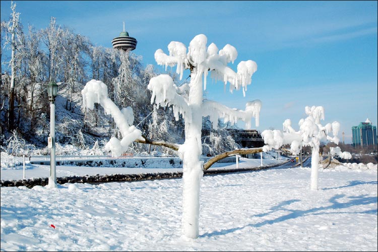 Winter in Niagara